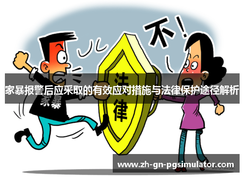 家暴报警后应采取的有效应对措施与法律保护途径解析