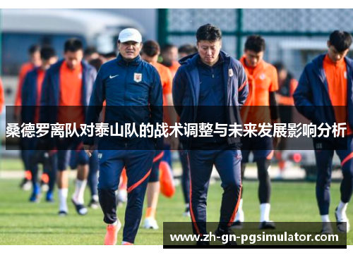 桑德罗离队对泰山队的战术调整与未来发展影响分析