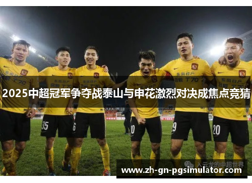 2025中超冠军争夺战泰山与申花激烈对决成焦点竞猜