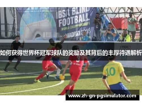 如何获得世界杯冠军球队的奖励及其背后的丰厚待遇解析