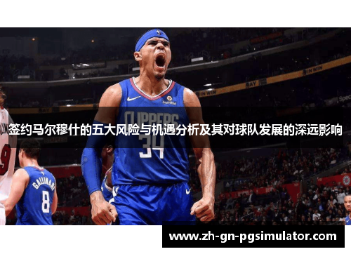 签约马尔穆什的五大风险与机遇分析及其对球队发展的深远影响