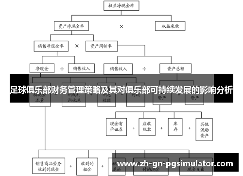 足球俱乐部财务管理策略及其对俱乐部可持续发展的影响分析